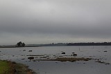 ...auch der Blick in die andere Richtung - das Wasser war ziemlich weit zurück und offenbarte einige Eindrücke - hier ein Versuch? … wohl eher nicht bei dieser Tour. Das schien mir doch prädestiniert und besser geeignet für Ende Februar, oder Anfang März. ...auch der Blick in die andere Richtung - das Wasser war ziemlich weit zurück und offenbarte einige Eindrücke - hier ein Versuch? … wohl eher nicht bei dieser Tour. Das schien mir doch prädestiniert und besser geeignet für Ende Februar, oder Anfang März.