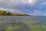 Wenn die Sonne zwischendurch mal etwas Platz zwischen den Wolken fand, dann sahen nicht nur die herbstlichen Bäume am Strand richtig gut aus. Auch die Sandflecken unter der Wasseroberfläche schienen richtig zu leuchten. Wenn die Sonne zwischendurch mal etwas Platz zwischen den Wolken fand, dann sahen nicht nur die herbstlichen Bäume am Strand richtig gut aus. Auch die Sandflecken unter der Wasseroberfläche schienen richtig zu leuchten.