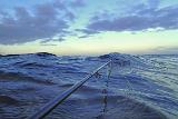 Wind kam von links vorne, Welle war ganz nett. Das Riff, bzw. der Untergrund war richtig glitschig und so suchte ich mir einen der wenigen Sandflecken zwischen Blasentang und Steinen, um mich stationär "festzutackern" Wind kam von links vorne, Welle war ganz nett. Das Riff, bzw. der Untergrund war richtig glitschig und so suchte ich mir einen der wenigen Sandflecken zwischen Blasentang und Steinen, um mich stationär "festzutackern"