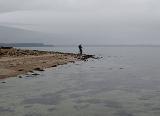 Irgendwann tauchte er nach einem Tauchgang einfach nicht wieder vor uns auf. Konzentriert fischten wir die Strecke durch. Jens hatte einen kurzen Anfasser. Normaler Weise kann man vom Strand aus wunderbar die erste tiefere Rinne befischen, da der Wasserstand heute aber ziemlich niedrig war, ging das leider nur an wenigen Stellen. Kurz vor dem ersten Riff auf der Watstrecke, bevor es zu tief zum durchwaten wurde, ging es zurück an den Strand. Von dort aus haben wir die Rinne fleissig bearbeitet. Leider ohne Erfolg. Das Wasser war mit knapp drei Grad in Strandnähe auch ziemlich frisch. Vielleicht lag es daran. Zeit für einen Spotwechsel.