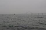 die anfängliche Euphorie wich in gleichem Mass, wie der Nebel zunahm. Als dann weitere Mitstreiter am Strand auftauchten und in unserer Watrichtung ins Wasser stiegen, beschlossen wir einen Spotwechsel vorzunehmen. die anfängliche Euphorie wich in gleichem Mass, wie der Nebel zunahm. Als dann weitere Mitstreiter am Strand auftauchten und in unserer Watrichtung ins Wasser stiegen, beschlossen wir einen Spotwechsel vorzunehmen.