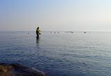 ….ausgeschlafen, reichhaltiges Frühstück…..kann losgehen. Ab an den Hausstrand. Bestes „Mützenwetter“, ganz leichter Wind und angenehme Temperaturen. Naja….und Timos „Freunde“ waren auch wieder am Start. Also fleissig die Fliegen auf die Reise geschickt und auf hungrige Abnehmer warten….. ….ausgeschlafen, reichhaltiges Frühstück…..kann losgehen. Ab an den Hausstrand. Bestes „Mützenwetter“, ganz leichter Wind und angenehme Temperaturen. Naja….und Timos „Freunde“ waren auch wieder am Start. Also fleissig die Fliegen auf die Reise geschickt und auf hungrige Abnehmer warten…..