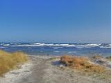 Tag drei und der Wind frischt noch weiter auf.....wie immer zuerst ein Blick auf den Hausstrand geworfen. Zumindest das Thermometer zeigte ein paar Grad mehr und auch die Sonne meinte es wieder gut mit uns. Also dann....auf geht's, ein fischbares, nicht überlaufenes Plätzchen sollte auf der Insel doch zu finden sein...... Tag drei und der Wind frischt noch weiter auf.....wie immer zuerst ein Blick auf den Hausstrand geworfen. Zumindest das Thermometer zeigte ein paar Grad mehr und auch die Sonne meinte es wieder gut mit uns. Also dann....auf geht's, ein fischbares, nicht überlaufenes Plätzchen sollte auf der Insel doch zu finden sein......