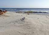 Noch einmal wechselten wir den Strand. Die südlichen Sandstrände zogen uns an. Der Wind fegte über den Sand und formte an einigen Stellen in paar tolle Formationen. Das leichte Gesichtspeeling war hier inclusive... naja....und Kaugummi kann tatsächlich knirschen.... Noch einmal wechselten wir den Strand. Die südlichen Sandstrände zogen uns an. Der Wind fegte über den Sand und formte an einigen Stellen in paar tolle Formationen. Das leichte Gesichtspeeling war hier inclusive... naja....und Kaugummi kann tatsächlich knirschen....