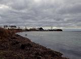 .....aber gut.Dann eben ein paar Kilometer mehr gemacht und nach einer Niete (komplett trübes Wasser), denn passenden Strand gefunden. .....aber gut.Dann eben ein paar Kilometer mehr gemacht und nach einer Niete (komplett trübes Wasser), denn passenden Strand gefunden.