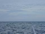 Nette Aussicht, endlich halbwegs klares Wasser, Welle und Strömung mal von links und mal von rechts. Das gefiel mir sehr gut. Dazu einiges an Garnelen und Grundeln im Wasser unterwegs. Ich fischte nicht die bekanntere linke Seite der Landspitze in Richtung Frankeklint, sondern blieb direkt an der Spitze. Nette Aussicht, endlich halbwegs klares Wasser, Welle und Strömung mal von links und mal von rechts. Das gefiel mir sehr gut. Dazu einiges an Garnelen und Grundeln im Wasser unterwegs. Ich fischte nicht die bekanntere linke Seite der Landspitze in Richtung Frankeklint, sondern blieb direkt an der Spitze.