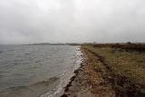 Also zurück zum Ausgangspunkt. Das Wasser war noch immer am steigen. Die meisten Würfe machte ich parallel zum Ufer. Ab und zu blieb etwas Seegras hängen. Um den Gräsern aus dem Weg zu gehen, musste ich etwas schneller einstrippen. Also Rute nach dem Wurf unter den Arm geklemmt und die Jiggy beidhändig auf Geschwindigkeit gebracht. Zack….Kontakt…..verwan- delt. Schickes, braun gefärbtes Dickerchen. Schnell abgehakt und zurück geschickt. Also zurück zum Ausgangspunkt. Das Wasser war noch immer am steigen. Die meisten Würfe machte ich parallel zum Ufer. Ab und zu blieb etwas Seegras hängen. Um den Gräsern aus dem Weg zu gehen, musste ich etwas schneller einstrippen. Also Rute nach dem Wurf unter den Arm geklemmt und die Jiggy beidhändig auf Geschwindigkeit gebracht. Zack….Kontakt…..verwan- delt. Schickes, braun gefärbtes Dickerchen. Schnell abgehakt und zurück geschickt.