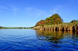 Auf meiner Seite der Bucht war der Wind inzwischen komplett eingeschlafen. Nicht gerade meine Lieblingsbedingungen, aber Fische waren anwesend und es war immer wieder interessant, wenn eine Bugwelle vor der Schilfkante auftauchte. Was die Fische dort jagten, konnte ich erst etwas später feststellen.