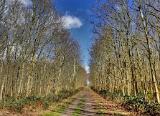 Zurück durch den Wald in Richtung Auto. Zunächst haben wir den Müll im Auto verstaut und anschließend ein Mittagsbrötchen verzehrt. Zurück durch den Wald in Richtung Auto. Zunächst haben wir den Müll im Auto verstaut und anschließend ein Mittagsbrötchen verzehrt.