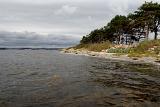 Ein Spot, der im Spätherbst und Winter schon ein paar nette Tage für mich parat hatte. Heute war leider mehr Kraut, als Fisch unterwegs. Nach einer halben Stunde machte ich mich wieder auf den Weg....... Ein Spot, der im Spätherbst und Winter schon ein paar nette Tage für mich parat hatte. Heute war leider mehr Kraut, als Fisch unterwegs. Nach einer halben Stunde machte ich mich wieder auf den Weg.......