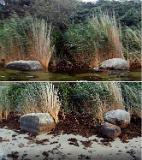 Ich habe hier nochmal zwei Bilder - eins von morgens und das zweite vom Nachmittag - zusammen montiert, um einfach zu dokumentieren, wie sehr der Wasserstand gefallen war. Echt heftig, wie ich finde. Ein phantastischer Tag war es allemal Ich habe hier nochmal zwei Bilder - eins von morgens und das zweite vom Nachmittag - zusammen montiert, um einfach zu dokumentieren, wie sehr der Wasserstand gefallen war. Echt heftig, wie ich finde. Ein phantastischer Tag war es allemal