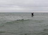 Jens mit vollem Einsatz und sauberem Doppelzug in der Welle. Der Grund hat hier in den letzten Jahren einen heftigen "Zulauf" an Sand gehabt und die Stein-, oder Blasentangflecken sind echt seltener geworden. Trotzdem, oder vielleicht gerade deshalb, sind doch Fische unterwegs gewesen. Jens mit vollem Einsatz und sauberem Doppelzug in der Welle. Der Grund hat hier in den letzten Jahren einen heftigen "Zulauf" an Sand gehabt und die Stein-, oder Blasentangflecken sind echt seltener geworden. Trotzdem, oder vielleicht gerade deshalb, sind doch Fische unterwegs gewesen.