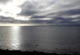 Dazu gab allerdings einiges an Schritten zu bewältigen. Immer wieder ein Blick auf das Wasser, immer wieder sehr viel Sand und kaum mal ein Stein, oder dunkle Flecken, Tangfelder oder ähnliches. Wir gingen einfach noch ein "paar" Meter weiter.