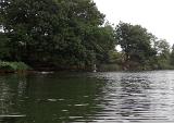 Wir machten uns auf den Weg. Immer ziemlich dicht am Ufer entlang. Wenig Rückraum hinten und zu tiefes Wasser nach vorne, um etwas mehr an Platz nach hinten zu schaffen. Die Würfe deshalb meistens im 45 Grad Winkel zum Uferbewuchs. Ging auch..... Wir machten uns auf den Weg. Immer ziemlich dicht am Ufer entlang. Wenig Rückraum hinten und zu tiefes Wasser nach vorne, um etwas mehr an Platz nach hinten zu schaffen. Die Würfe deshalb meistens im 45 Grad Winkel zum Uferbewuchs. Ging auch.....