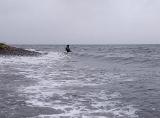 ...und es wurde noch besser. Wind, Welle, Strömung und sogar Schweinswale auf der Jagd. Anspruchsvolles werfen und jede Menge Nahrung im Wasser.... ...und es wurde noch besser. Wind, Welle, Strömung und sogar Schweinswale auf der Jagd. Anspruchsvolles werfen und jede Menge Nahrung im Wasser....
