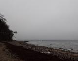Temperatur steigt weiter. Wind nimmt ebenfalls zu. Also Gelegenheit genutzt und nochmal ans Wasser. Trotz Markierung den Weg zum gestrigen Strand nicht wieder gefunden. Okay.... anderer Spot, leider ohne Kontakte, dafür aber mit einigen Mitstreitern. Bin weiter und wollte eigentlich nur mal kurz vorbei schauen. Nur ein Mitstreiter und der "wanderte" dann im Wasser immer weiter. Cool..... ich stieg hinter Ihm ein und machte ein paar Meter Strecke. Temperatur steigt weiter. Wind nimmt ebenfalls zu. Also Gelegenheit genutzt und nochmal ans Wasser. Trotz Markierung den Weg zum gestrigen Strand nicht wieder gefunden. Okay.... anderer Spot, leider ohne Kontakte, dafür aber mit einigen Mitstreitern. Bin weiter und wollte eigentlich nur mal kurz vorbei schauen. Nur ein Mitstreiter und der "wanderte" dann im Wasser immer weiter. Cool..... ich stieg hinter Ihm ein und machte ein paar Meter Strecke.
