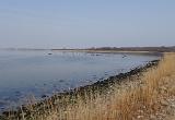 Ran ans Ufer und einen kurzen Blick zurück. Nun ging es „um die Ecke“ in Richtung nächster Bucht. Inzwischen war auch Timo am Wasser und wir tauschten uns kurz per Handy aus. An Ihrem Spot waren Fische unterwegs und tatsächlich durfte auch schon einer etwas frische Luft schnuppern. Nun denn….. ich machte weiter und fischte mich in Richtung der nächsten Bucht weiter. Am Ende meiner Strecke konnte ich zwar den Wagen der Drei im Sonnenlicht erkennen, aber für mehr war die Entfernung dann doch etwas zu gross. Ich machte Mittagspause und beschloss die Kollegen „abzuholen“ Ran ans Ufer und einen kurzen Blick zurück. Nun ging es „um die Ecke“ in Richtung nächster Bucht. Inzwischen war auch Timo am Wasser und wir tauschten uns kurz per Handy aus. An Ihrem Spot waren Fische unterwegs und tatsächlich durfte auch schon einer etwas frische Luft schnuppern. Nun denn….. ich machte weiter und fischte mich in Richtung der nächsten Bucht weiter. Am Ende meiner Strecke konnte ich zwar den Wagen der Drei im Sonnenlicht erkennen, aber für mehr war die Entfernung dann doch etwas zu gross. Ich machte Mittagspause und beschloss die Kollegen „abzuholen“