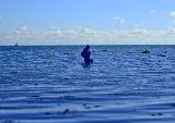 Der Wind legte ein klein wenig zu und machte das Ganze noch interessanter. Eine nette Trübungskante liess auf aktive Fische hoffen. Nachdem wir das Riff ausgiebig abgefischt hatten - leider ohne jeden Kontakt - bewegten wir uns die Küstenlinie entlang und hofften auf etwas mehr "action"