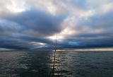 Im Laufe des Vormittags liessen die Winböen langsam etwas nach. Allerdings drehte der Wind auf nordwestliche - und somit seitliche - Richtung. Die Wolken rissen immer häufiger auf und die Sonne zeigte sich ganz zaghaft. Nach zwei weiteren Kontakten, ging meine Fliege leider verlustig. Die Schlaufe war einfach durchgescheuert. Entweder ist mein Vorfachmaterial zu schlecht, oder altersbedingt haben sich scharfe Kanten am Hakenöhr gebildet. Keine Ahnung.... Im Laufe des Vormittags liessen die Winböen langsam etwas nach. Allerdings drehte der Wind auf nordwestliche - und somit seitliche - Richtung. Die Wolken rissen immer häufiger auf und die Sonne zeigte sich ganz zaghaft. Nach zwei weiteren Kontakten, ging meine Fliege leider verlustig. Die Schlaufe war einfach durchgescheuert. Entweder ist mein Vorfachmaterial zu schlecht, oder altersbedingt haben sich scharfe Kanten am Hakenöhr gebildet. Keine Ahnung....