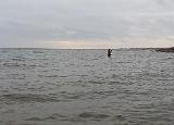 Irgendwann ging es dann auf der Sandbank nicht mehr weiter. Also zurück Richtung Ufer und von dort aus interessante Strukturen gesucht und angeworfen. Nicht immer ganz einfach, aber die Fische standen tatsächlich auch in ganz flachen Bereichen. Nachdem Jens einen flotten Grönländer überlistet und noch im Wasser wieder abgehakt hatte, stieg bei mir auch ein Fisch ein. Sofort nach dem ersten Kontakt ging es aus dem Wasser. Es folgten noch zwei, drei weitere Luftsprünge und kraftvolle Fluchten. Bereits beim zweiten Sprung konnte ich erkennen, dass diesmal keine Meerforelle am Band war. Der folgende „Tanz“ war interessant. Der Fisch wollte sich einfach nicht auf die Schnelle eintüten lassen. Irgendwann ging es dann auf der Sandbank nicht mehr weiter. Also zurück Richtung Ufer und von dort aus interessante Strukturen gesucht und angeworfen. Nicht immer ganz einfach, aber die Fische standen tatsächlich auch in ganz flachen Bereichen. Nachdem Jens einen flotten Grönländer überlistet und noch im Wasser wieder abgehakt hatte, stieg bei mir auch ein Fisch ein. Sofort nach dem ersten Kontakt ging es aus dem Wasser. Es folgten noch zwei, drei weitere Luftsprünge und kraftvolle Fluchten. Bereits beim zweiten Sprung konnte ich erkennen, dass diesmal keine Meerforelle am Band war. Der folgende „Tanz“ war interessant. Der Fisch wollte sich einfach nicht auf die Schnelle eintüten lassen.