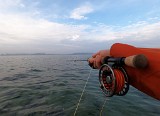Den neuen Tag begann ich in der Hausbucht. Heute mit leichtem Wind von links vorne. Über eine Koppel wanderte ich zum linken Rand der Strecke, stieg ein und fischte mich langsam Richtung Westen. Bereits nach wenigen Würfen hatte ich die ersten Kontakte. Da draussen waren anscheinend wieder einige Fisch unterwegs….. Den neuen Tag begann ich in der Hausbucht. Heute mit leichtem Wind von links vorne. Über eine Koppel wanderte ich zum linken Rand der Strecke, stieg ein und fischte mich langsam Richtung Westen. Bereits nach wenigen Würfen hatte ich die ersten Kontakte. Da draussen waren anscheinend wieder einige Fisch unterwegs…..