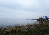 Nachdem ich einen etwas bekannteren Platz angefahren hatte und dort bereits zwei Autos am Wegesrand standen, entschied ich mich einmal mehr einen neuen Weg einzuschlagen. Ein paar Kilometer weiter fuhr ich wieder runter in Richtung Wasser und fand tatsächlich eine vielversprechende Stelle. Der interessante Bereich hier war allerdings so klein, dass ich schon nach einer halben Stunde alle potenziellen Standorte (meiner Meinung nach) abgefischt hatte. Der Rest war „Sandwüste“ mit nur ganz wenigen interessanten, bewachsenen Stellen. Also weiter…. Nachdem ich einen etwas bekannteren Platz angefahren hatte und dort bereits zwei Autos am Wegesrand standen, entschied ich mich einmal mehr einen neuen Weg einzuschlagen. Ein paar Kilometer weiter fuhr ich wieder runter in Richtung Wasser und fand tatsächlich eine vielversprechende Stelle. Der interessante Bereich hier war allerdings so klein, dass ich schon nach einer halben Stunde alle potenziellen Standorte (meiner Meinung nach) abgefischt hatte. Der Rest war „Sandwüste“ mit nur ganz wenigen interessanten, bewachsenen Stellen. Also weiter….