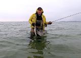 Den „Knuff“ hatte Timo sich redlich verdient. Noch keine halbe Stunde im Wasser und schon den ersten Fisch am Galgen. Ein netter Küchenfisch mit siebenundvierzig Zentimetern. Am schönsten war die Reaktion seiner Frau am Telefon…… „es gibt Fisch? – Klasse - hast Du den etwa gefangen?“ Ich musste grinsen…… Den „Knuff“ hatte Timo sich redlich verdient. Noch keine halbe Stunde im Wasser und schon den ersten Fisch am Galgen. Ein netter Küchenfisch mit siebenundvierzig Zentimetern. Am schönsten war die Reaktion seiner Frau am Telefon…… „es gibt Fisch? – Klasse - hast Du den etwa gefangen?“ Ich musste grinsen……