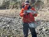 Ich hatte während des Drills beschlossen einen weiteren Fisch für den kulinarischen Genuss zu entnehmen. Betäuben, Herzstich und danach ein Foto. Inzwischen war auch unser „Mitangler“ bei uns eingetroffen, beglückwünschte uns zunächst auf Dänisch, nach einem Danke von mir dann auch auf Deutsch und ging weiter, um am anderen Ende der Strecke noch einmal neu anzusetzen. Wie ich beobachten konnte – und das fand ich wirklich sehr interessant – wurden die Würfe inzwischen vom Strand ausgeführt……. Ich hatte während des Drills beschlossen einen weiteren Fisch für den kulinarischen Genuss zu entnehmen. Betäuben, Herzstich und danach ein Foto. Inzwischen war auch unser „Mitangler“ bei uns eingetroffen, beglückwünschte uns zunächst auf Dänisch, nach einem Danke von mir dann auch auf Deutsch und ging weiter, um am anderen Ende der Strecke noch einmal neu anzusetzen. Wie ich beobachten konnte – und das fand ich wirklich sehr interessant – wurden die Würfe inzwischen vom Strand ausgeführt…….