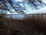 Mal wieder eine Stelle, die mehr nach einem See im Binnenland aussah, als nach einem Küstenabschnitt. Nachdem wir das Schilf passiert hatten, lag ein ziemlich eintöniger Grund vor uns. Sehr viel Sand, unterbrochen nur von einigen wenigen Krautinseln.