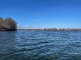 Und gerade auf, oder in diesen Krautinseln lauerten die Forellen. Es gab einige Kontakte und auch gelandete Fische. Die Strömung an dieser Stelle war auch nicht von schlechten Eltern. Das Wasser wird hier durch einen „Sund“ gedrückt und dementsprechend ist immer reichlich Zug im Wasser. Und gerade auf, oder in diesen Krautinseln lauerten die Forellen. Es gab einige Kontakte und auch gelandete Fische. Die Strömung an dieser Stelle war auch nicht von schlechten Eltern. Das Wasser wird hier durch einen „Sund“ gedrückt und dementsprechend ist immer reichlich Zug im Wasser.