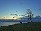 Ende Dezember.... Zeit für ein kleines Jahresabschlussfischen. Kurz nach Sonnenaufgang waren wir vor Ort. Erste Schwierigkeit.... wo sollten wir die Steilküste hinunter. Dort wo sonst Stahltreppen gestanden haben, fehlten mindestens zwei Meter der Steilküste.... und eben auch die besagten Treppen Ende Dezember.... Zeit für ein kleines Jahresabschlussfischen. Kurz nach Sonnenaufgang waren wir vor Ort. Erste Schwierigkeit.... wo sollten wir die Steilküste hinunter. Dort wo sonst Stahltreppen gestanden haben, fehlten mindestens zwei Meter der Steilküste.... und eben auch die besagten Treppen