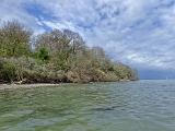 Es wurde Zeit den Strand in der Nähe der Ferienhütte zu besuchen. Die vergangenen Stürme haben hier leider ganze Arbeit geleistet. Die dicht unter Land liegende erste Rinne war immer sehr ausgeprägt, ist nun leider nicht mehr vorhanden. Vereinzelte Blasentangbüschel sind noch da, aber kein Vergleich zu vorher. Der Wald hat auch reichlich gelitten und viel Bruchholz am Ufer und im Wasser. Dazu viel Sand am Grund, kaum Strömung und heute eine merkwürdige Trübung. Da wir keinen auflandigen Sturm hatten, tippte ich auf Sedimentauswaschung wegen des hohen Wasserstands. Auf jeden Fall ging hier heute gar nichts. Zeit die Hütte zu beziehen. Es wurde Zeit den Strand in der Nähe der Ferienhütte zu besuchen. Die vergangenen Stürme haben hier leider ganze Arbeit geleistet. Die dicht unter Land liegende erste Rinne war immer sehr ausgeprägt, ist nun leider nicht mehr vorhanden. Vereinzelte Blasentangbüschel sind noch da, aber kein Vergleich zu vorher. Der Wald hat auch reichlich gelitten und viel Bruchholz am Ufer und im Wasser. Dazu viel Sand am Grund, kaum Strömung und heute eine merkwürdige Trübung. Da wir keinen auflandigen Sturm hatten, tippte ich auf Sedimentauswaschung wegen des hohen Wasserstands. Auf jeden Fall ging hier heute gar nichts. Zeit die Hütte zu beziehen.