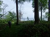 Der letzte Abschnitt des Weges ist in meinen Augen der schönste. Ein Buchenwald, der direkt bis an die Küste wächst. Einfach ein Traum diese Gegend. Schnell noch ein Foto und runter ans Wasser. Der letzte Abschnitt des Weges ist in meinen Augen der schönste. Ein Buchenwald, der direkt bis an die Küste wächst. Einfach ein Traum diese Gegend. Schnell noch ein Foto und runter ans Wasser.