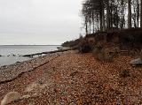 Es ist Herbst ….. nicht zu leugnen. Schade nur, dass das Farbenspiel der Blätter viel zu schnell auf dem Boden landet…. Es ist Herbst ….. nicht zu leugnen. Schade nur, dass das Farbenspiel der Blätter viel zu schnell auf dem Boden landet….