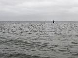 Ich begann auf der Windseite und Jens fischte sich langsam auf das Riff. Hatte ich nur kleinere Fische in Reichweite – Nachläufer und kurz angehakte Fische – so hatte Jens zu den Kleinen auch nochmal was Besseres am Band. Bis auf wenige Ausnahmen konnten sich die meisten Kontakte aber relativ schnell wieder abschütteln. Ich begann auf der Windseite und Jens fischte sich langsam auf das Riff. Hatte ich nur kleinere Fische in Reichweite – Nachläufer und kurz angehakte Fische – so hatte Jens zu den Kleinen auch nochmal was Besseres am Band. Bis auf wenige Ausnahmen konnten sich die meisten Kontakte aber relativ schnell wieder abschütteln.