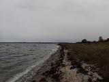 Zurück ans Wasser….. im Laufe des Tages drehte der Wind dann auf auflandig. Welle ist ja wirklich gut, aber leider geht dann bei mir einiges an Wurfweite verloren. Der Dänische Kollege mit der Spinnrute war eindeutig im Vorteil. Auf äußerste Wurfweite bekam er Kontakte und konnte dann auch zwei Grönländer landen. Zurück ans Wasser….. im Laufe des Tages drehte der Wind dann auf auflandig. Welle ist ja wirklich gut, aber leider geht dann bei mir einiges an Wurfweite verloren. Der Dänische Kollege mit der Spinnrute war eindeutig im Vorteil. Auf äußerste Wurfweite bekam er Kontakte und konnte dann auch zwei Grönländer landen.