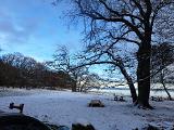 Donnerstag ….. aufstehen…. minus sechs Grad, leichte Schneedecke. Erstmal in aller Ruhe Frühstück und anschließend Bindematerialien sortieren. Danach raus ans Wasser. Toller Spot, ruhiges Wetter, Frost, glasklares Wasser… ran an den Fisch Donnerstag ….. aufstehen…. minus sechs Grad, leichte Schneedecke. Erstmal in aller Ruhe Frühstück und anschließend Bindematerialien sortieren. Danach raus ans Wasser. Toller Spot, ruhiges Wetter, Frost, glasklares Wasser… ran an den Fisch