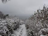 Auf dem Weg musste ich dann feststellen, dass hier bisher nur einer vor mir durch den Schnee gelaufen war. Komischer Weise endete die Spur plötzlich. Ein paar Schritte später wusste ich warum. Trotz Spikes in der Sohle, saß ich auf einmal auf dem Hintern. Das pure Eis auf einem Weg mit ca.35 bis 40 Grad Gefälle. Also zurück….. Auf dem Weg musste ich dann feststellen, dass hier bisher nur einer vor mir durch den Schnee gelaufen war. Komischer Weise endete die Spur plötzlich. Ein paar Schritte später wusste ich warum. Trotz Spikes in der Sohle, saß ich auf einmal auf dem Hintern. Das pure Eis auf einem Weg mit ca.35 bis 40 Grad Gefälle. Also zurück…..