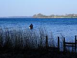 So machten wir reichlich Meter. Wurf um Wurf fischten wir uns zum Ende der Bucht durch, an deren Ausgang der hinter uns liegende Wald etwas Windabdeckung bot. So machten wir reichlich Meter. Wurf um Wurf fischten wir uns zum Ende der Bucht durch, an deren Ausgang der hinter uns liegende Wald etwas Windabdeckung bot.